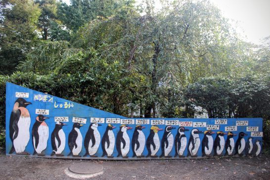 ペンギンの種類