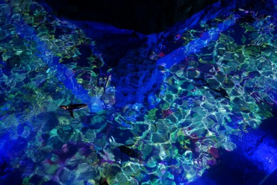 すみだ水族館のプロジェクションマッピング「ペンギンキャンディー」