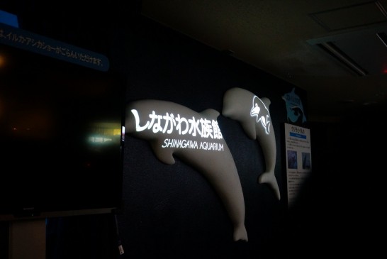 しながわ水族館のイルカコーナーのプロジェクションマッピング