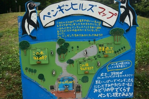 ペンギンヒルズの内部マップ