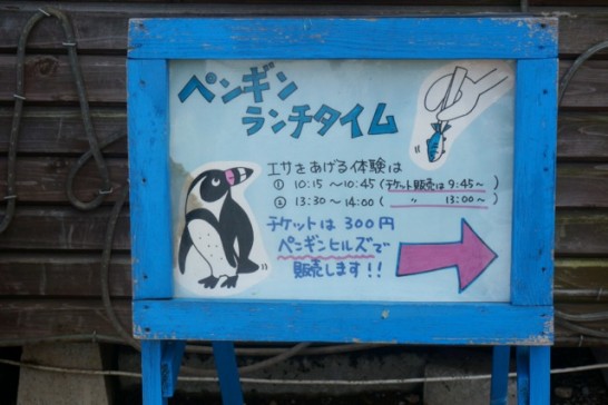 ペンギンのランチタイム開催時間