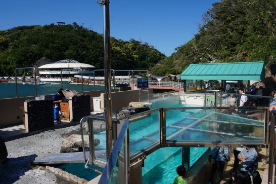 下田海中水族館のペンギンプール
