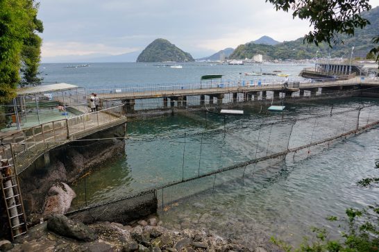 伊豆・水戸シーパラダイスの自然飼育所