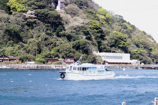 淡島に渡る船
