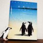 死ぬまでに見たい！絶景のペンギン｜澤井聖一【おすすめの写真集】